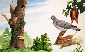 Der tote Baum von John Rignall