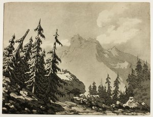 Kiefern in den Bergen