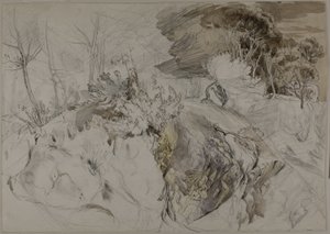 Sträucher und Bäume in felsiger Landschaft