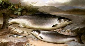 Fisch-Stillleben von John Russell