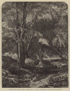 Heimat des Damhirsches von John Samuel Raven