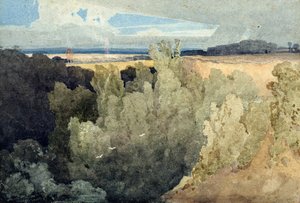 Brignall Banks am Greta