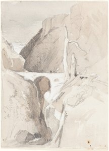 Schlucht mit Baumstümpfen