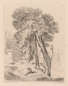 Liber Studiorum: Platte 18, Bäume in Norwich Thorp, Norfolk, 1838 von John Sell Cotman