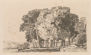 Liber Studiorum: Platte 3, Bäume bei Twickenham, 1838 von John Sell Cotman