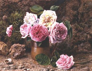 Rosen von John Sherrin