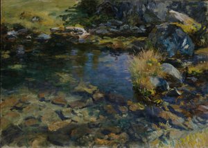 Alpiner Pool, 1907 von John Singer Sargent