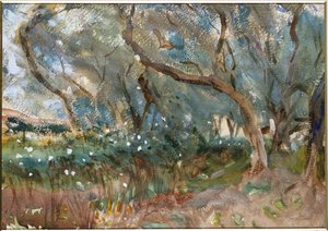 Landschaft, Korfu, 1909 von John Singer Sargent