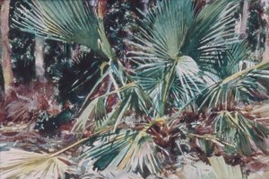 Palmettos, 1917 von John Singer Sargent