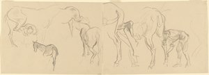 Studien zum Beschlagen von Kavalleriepferden an der Front [recto], 1918 von John Singer Sargent