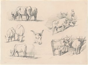 Studien von Rindern, ca. 1872 von John Singer Sargent