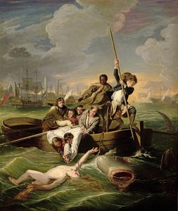 Watson und der Hai, 1782