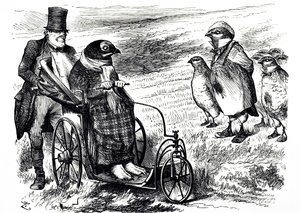 Eine Karikatur, die die Aussetzung der Moorhuhnjagd kommentiert, um den Bestand wieder aufzubauen. Illustriert von John Tenniel (1820-1914), einem englischen Illustrator, humoristischen Grafiker und politischen Karikaturisten von John Tenniel