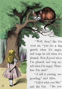 Alice und die Katze, Illustration von Sir John Tenniel für die Erstausgabe von Alice im Wunderland des englischen Schriftstellers Lewis Carroll (Charles Lutwidge Dodgson) (1832-1898) von John Tenniel