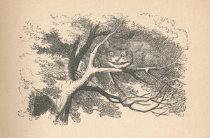 Die Grinsekatze beginnt zu verschwinden, ihr Lächeln ist das letzte, das verschwindet, 1889 von John Tenniel