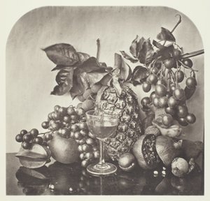Früchte von John Thomson