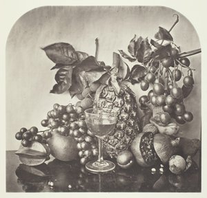 Früchte, ca. 1868 von John Thomson