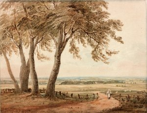 Blick von Polsden bei Bookham in Surrey von John Varley