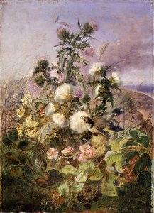 Ein Stieglitz und ein Schmetterling zwischen Disteln und Brombeerblüten von John Wainwright