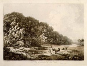Eine Ansicht der Insel Pulo Condore, aus 