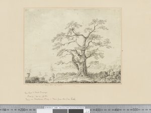 Ansicht am Meeresufer, großer Baum in der Mitte von John Webber