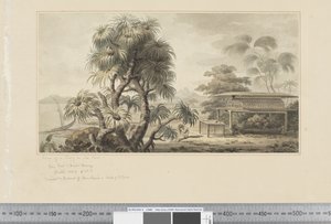 Ansicht eines Grabes am Meeresufer von John Webber