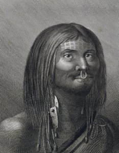 Polynesischer Mann aus Nootka Sound, Illustration von John Webber (1752-1793) während der dritten Reise (1776-1779) von James Cook (1728-1779) von John Webber