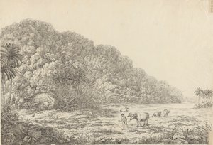 Ansicht der Insel Pulo Condore von John Webber
