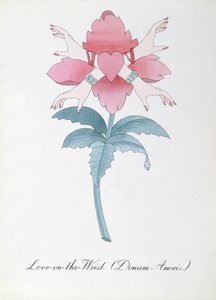 Liebe am Handgelenk (Donum Amoris), Illustration aus 
