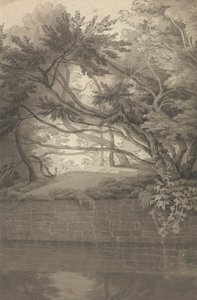 Bäume über einem See von John White Abbott