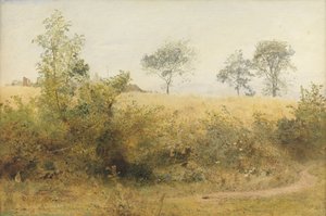 Die Fledermaus beginnt mit schwindelndem Flügel - Gerstenfeld über der Hecke, 1885