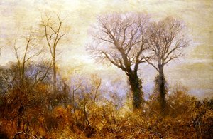 Als der Winter fast vorbei war von John William North