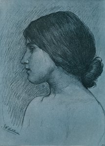 Studie eines Kopfes, um 1899 von John William Waterhouse