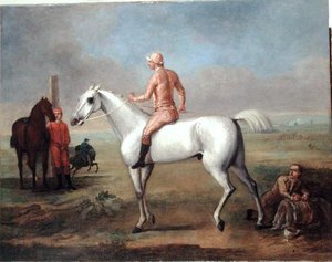 Arabischer Hengst mit Jockey von John Wootton