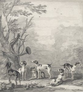 Hunde in einer Landschaft