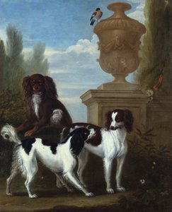 Drei Spaniels bei einer Urne in einer bewaldeten Landschaft von John Wootton
