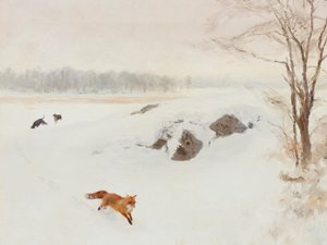 Roter Fuchs Winterverfolgung