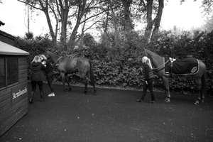 Das Goodwood-Anwesen in West Sussex, UK, 2019