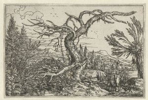 Landschaft mit dem dürren Baum
