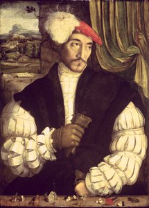 Porträt eines Mannes, 1533 von Jorg I Breu