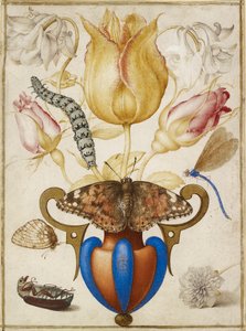 Anordnung von Blumen in einer Vase, mit Insekten