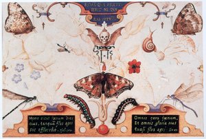 Diptychon mit Blumen und Insekten, 1591 von Joris Hoefnagel