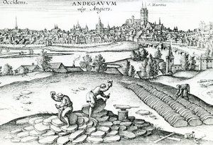Schieferbruch in Angers, 1561