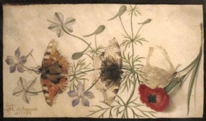 Studien von Blumen und Schmetterlingen von Joris Hoefnagel