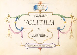 Titelseite von Joris Hoefnagel