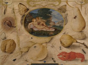 Venus entwaffnet Amor in einem Medaillon umgeben von Pflanzen, Früchten, Insekten und Schalentieren, ca. 1595 von Joris Hoefnagel