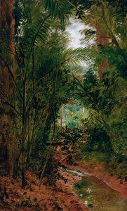 Landschaft am Rio das Pedras von José Ferraz de Almeida Júnior