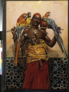 Kakadu Montreker von Jose Silbert