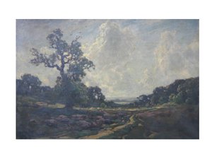 Die Straße über das Gemeinland von Jose Weiss