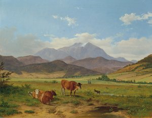 Landschaft mit Schneeberg von Josef Feid